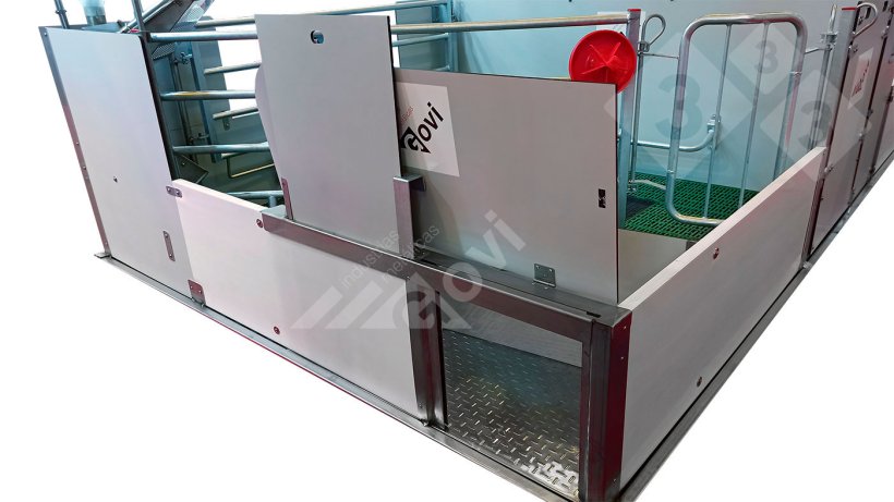 图1:带门的分娩栏,仔猪可以进入相邻的窝或分娩栏。